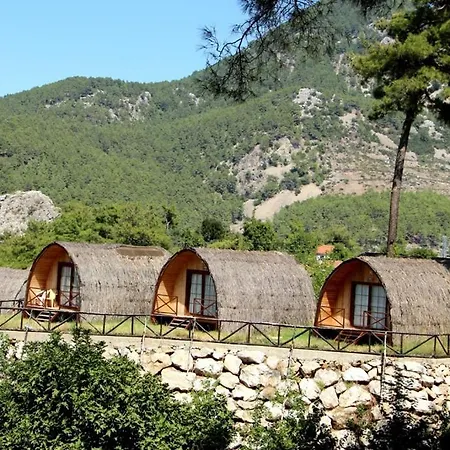 Pinokyo Bungalove Camping