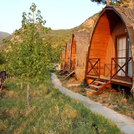 Camping Pinokyo Bungalove *