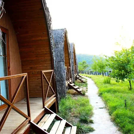 Campeggio Pinokyo Bungalove